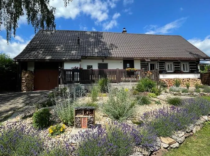 Vakantiehuis U Brizek *